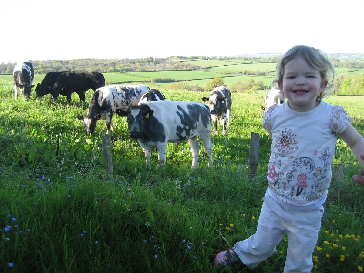 Three Gates Farm Holiday Cottages Huntsham エクステリア 写真